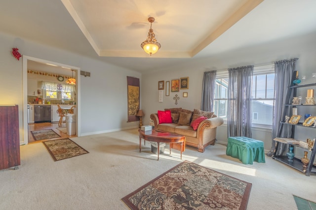 carpeted living room with indoor bar and a tray ceiling