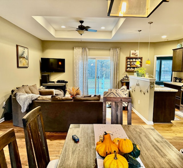 living room featuring light hardwood / wood-style floors, a raised ceiling, and ceiling fan