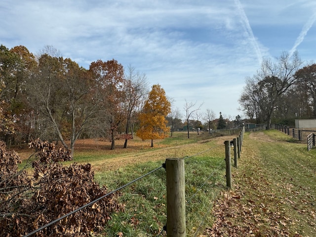 view of yard featuring a rural view