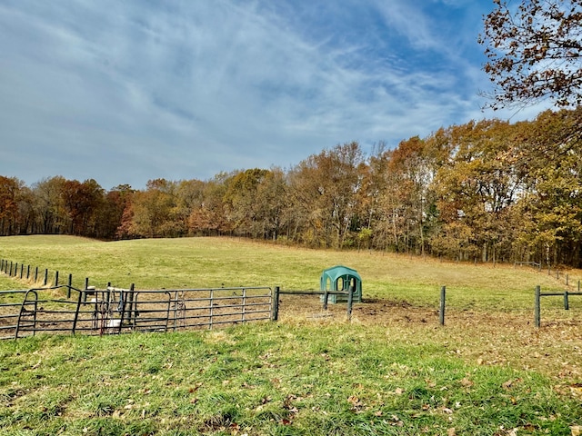 view of yard with a rural view