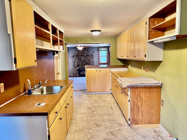 kitchen featuring sink and light brown cabinetry