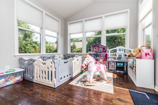 interior space with vaulted ceiling, dark hardwood / wood-style floors, and a crib