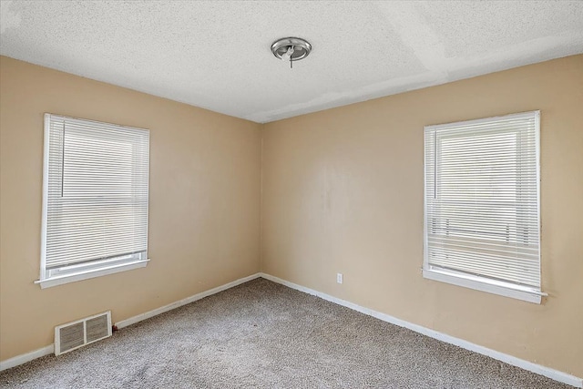 carpeted spare room featuring a healthy amount of sunlight and a textured ceiling