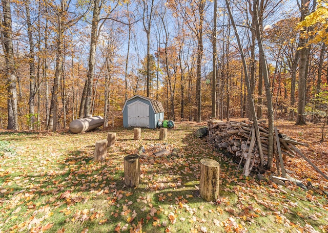 view of yard with a shed