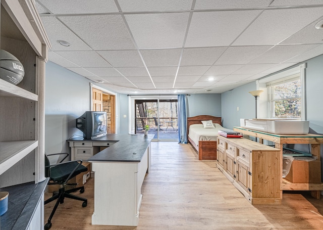 bedroom featuring multiple windows, a drop ceiling, and light hardwood / wood-style floors