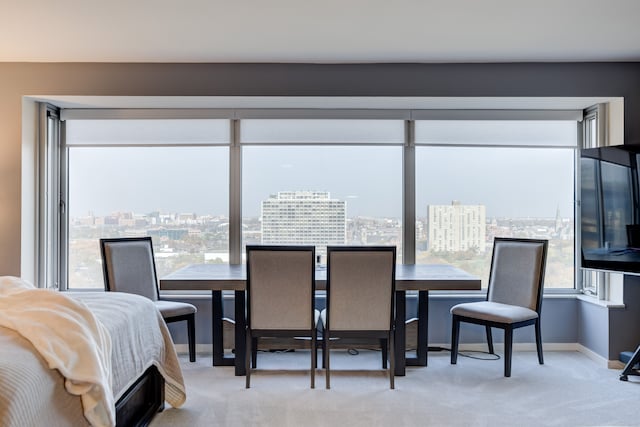 carpeted dining room featuring a wealth of natural light