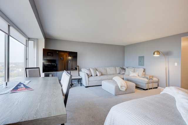 bedroom featuring electric panel and light colored carpet