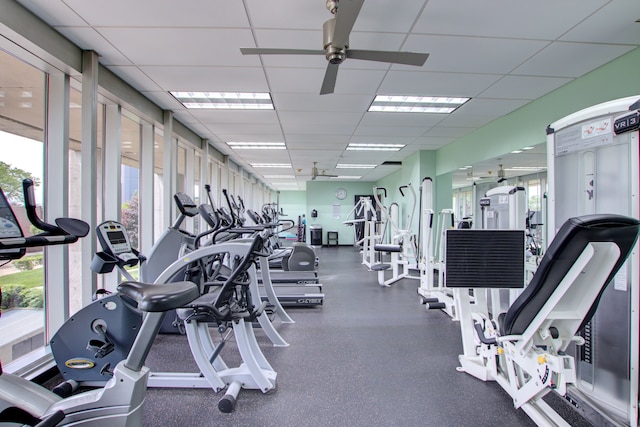 gym with a paneled ceiling, a wealth of natural light, and ceiling fan