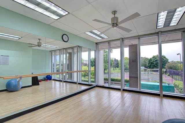 workout area with wood-type flooring, expansive windows, and ceiling fan