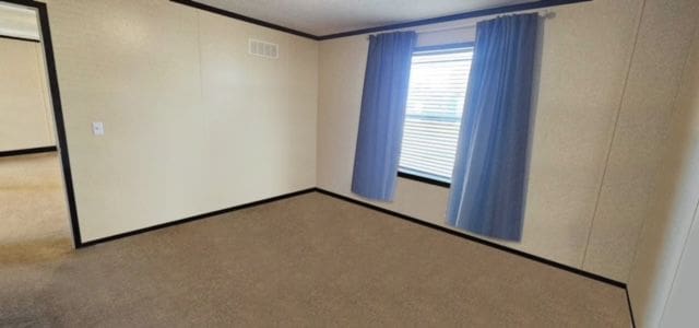 empty room with light colored carpet and crown molding