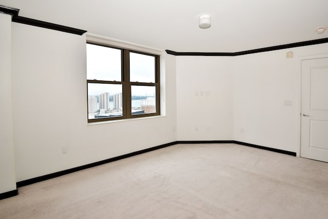 carpeted empty room with crown molding