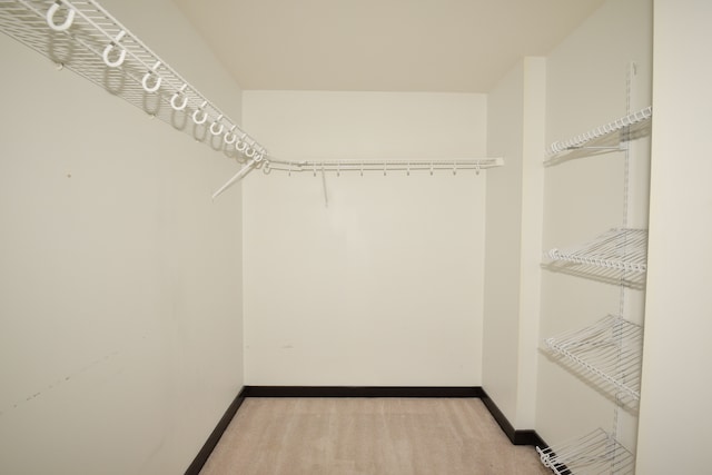 spacious closet featuring light colored carpet