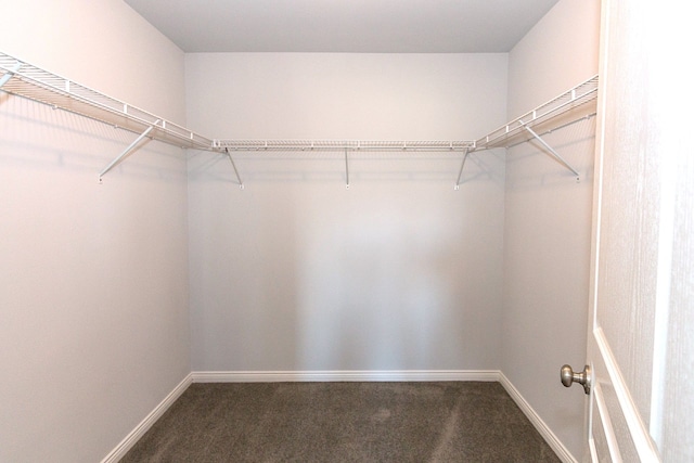 walk in closet featuring dark colored carpet