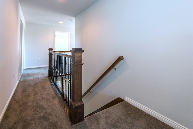 stairway featuring carpet floors