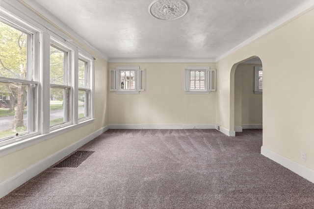 spare room featuring carpet floors and ornamental molding