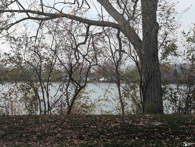 36168 Ruth St, Rockwood, MI 48173