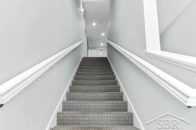 staircase featuring carpet