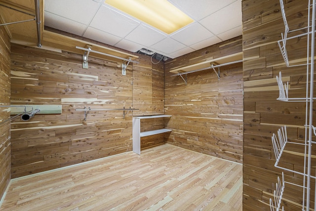 walk in closet featuring hardwood / wood-style floors and a paneled ceiling