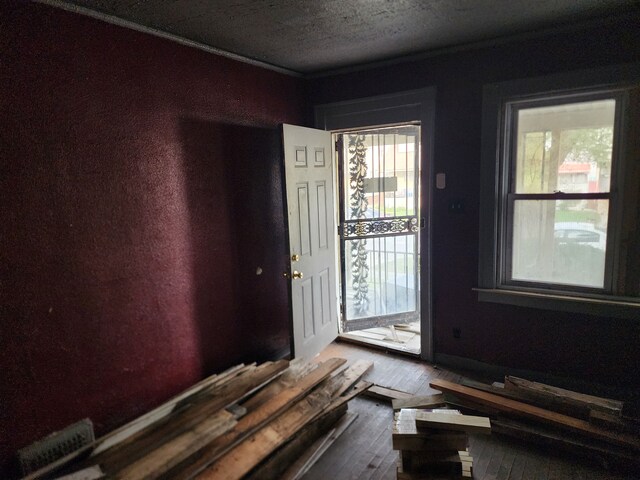 entryway featuring wood-type flooring