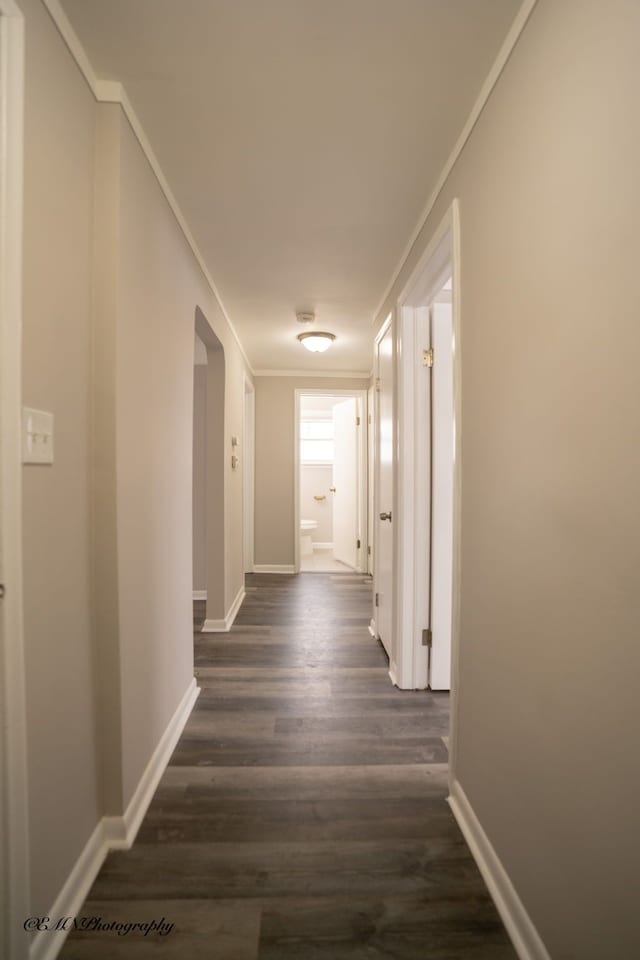 corridor featuring baseboards, dark wood-style flooring, and crown molding