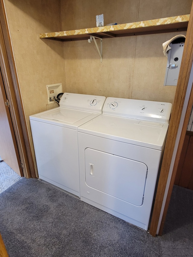 clothes washing area with independent washer and dryer and carpet floors