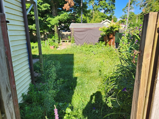 315 Mcomber St, Dowagiac, MI 49047 - view of yard