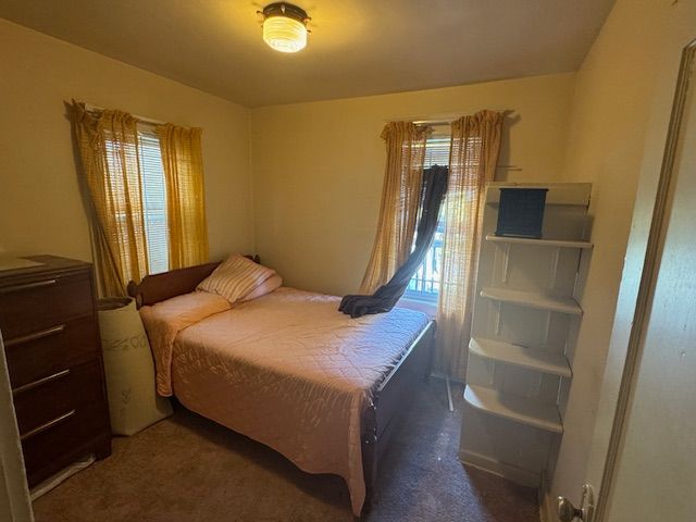 bedroom featuring dark colored carpet and multiple windows