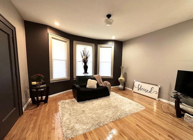 living room featuring light hardwood / wood-style flooring