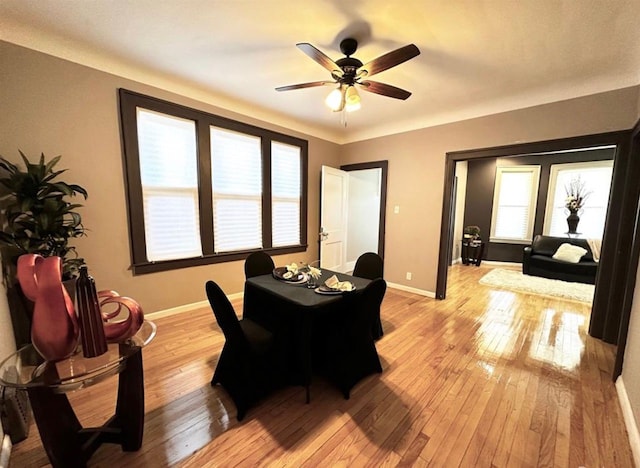 dining room with ceiling fan and light hardwood / wood-style floors