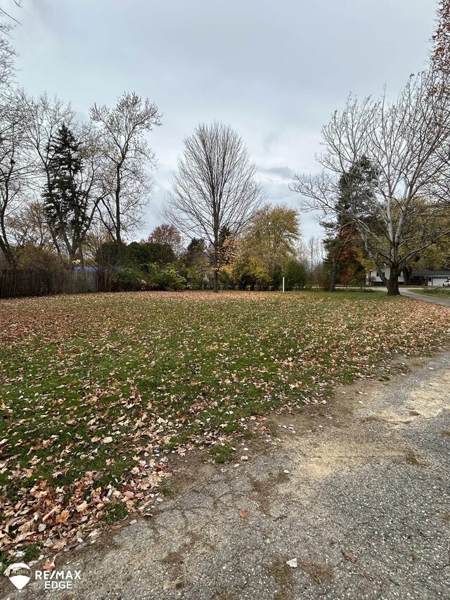 7174 Center Rd, Mount Morris, MI 48458 - view of yard