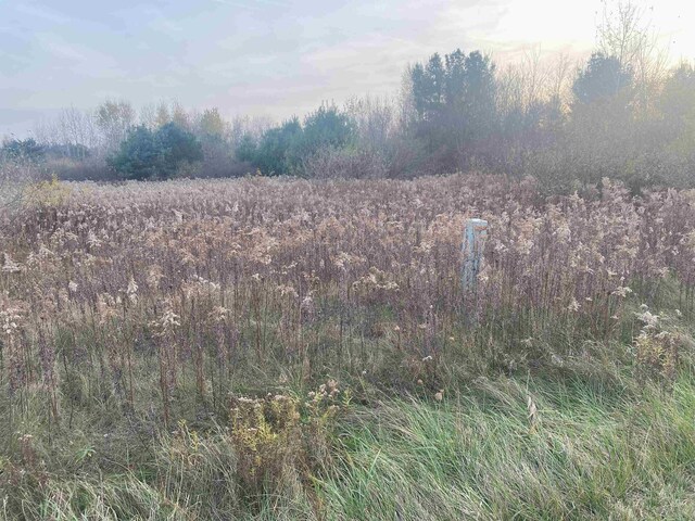 TBD E Wing Rd, Shepherd, MI 48883