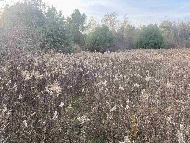 TBD E Wing Rd, Shepherd, MI 48883