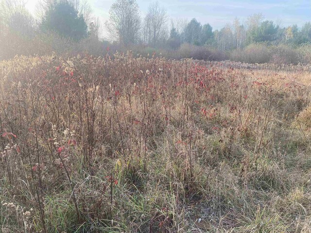TBD E Wing Rd, Shepherd, MI 48883
