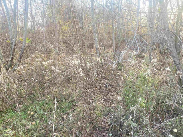TBD E Wing Rd, Shepherd, MI 48883