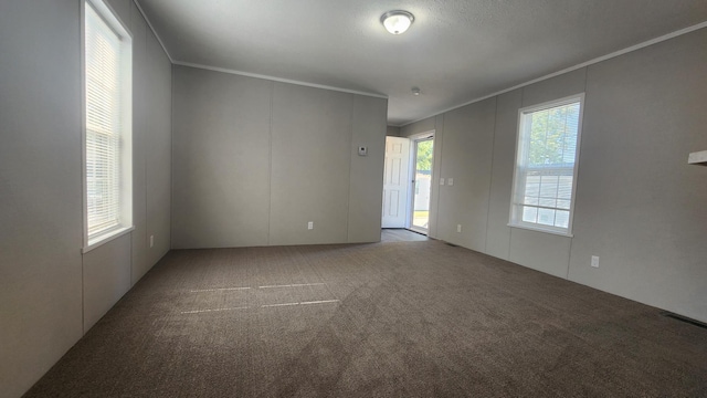 empty room with a textured ceiling, carpet floors, and crown molding