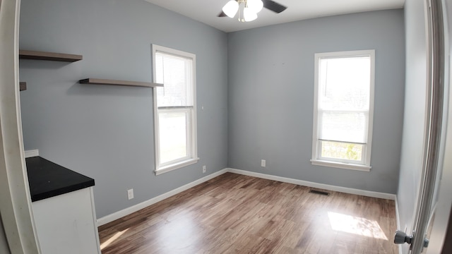 unfurnished room with a wealth of natural light, light hardwood / wood-style flooring, and ceiling fan