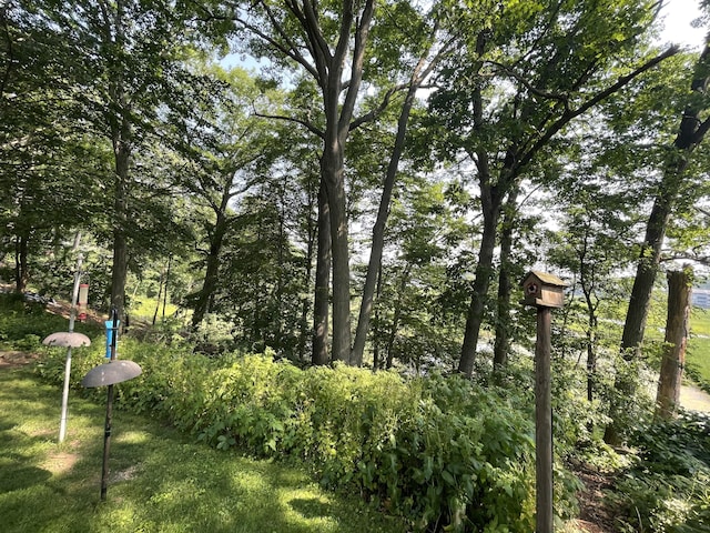 4102 Highgate Rd, Norton Shores, MI 49441 - view of yard