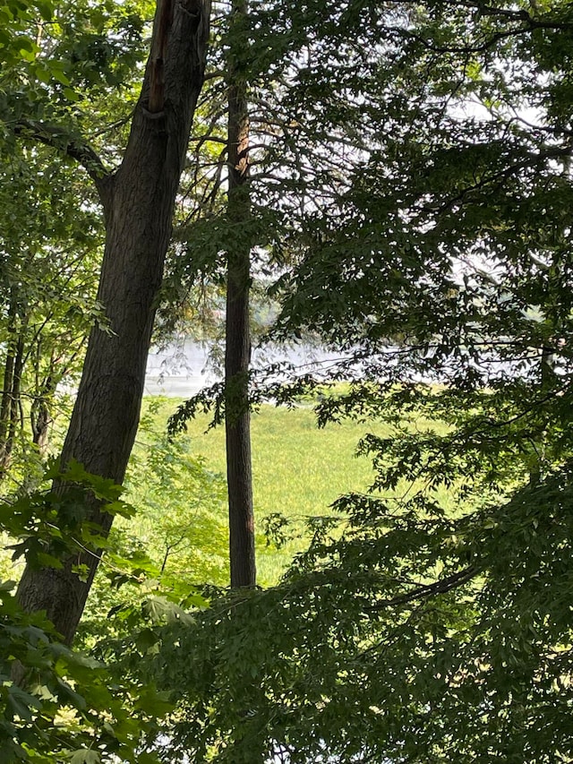 4102 Highgate Rd, Norton Shores, MI 49441 - view of nature