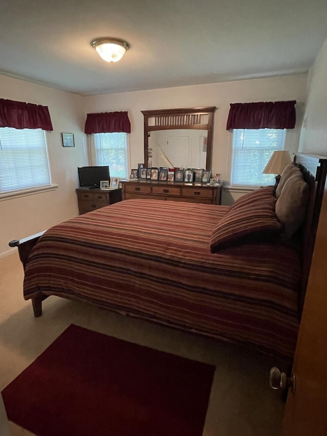 4102 Highgate Rd, Norton Shores, MI 49441 - view of carpeted bedroom