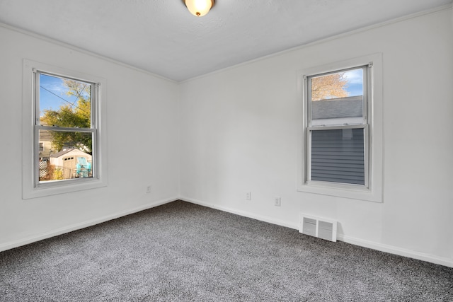 carpeted empty room with a wealth of natural light and crown molding