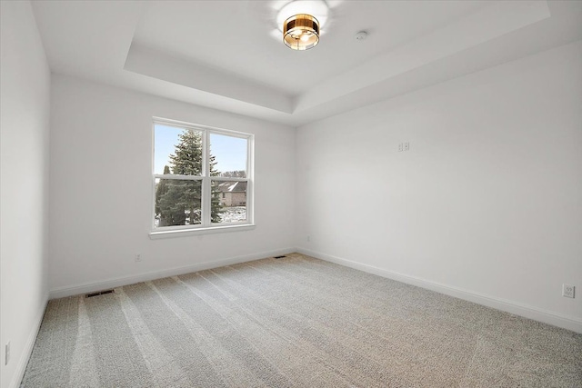 carpeted spare room featuring a raised ceiling