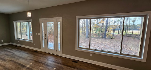 foyer with dark wood-type flooring and a wealth of natural light