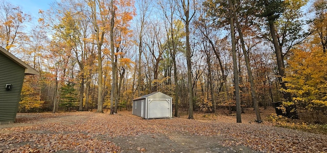 view of yard featuring a storage unit