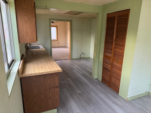 kitchen featuring light hardwood / wood-style floors and sink