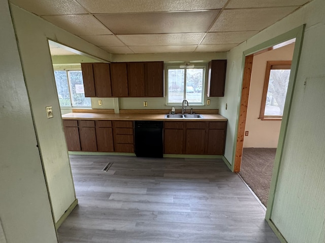 kitchen with dishwasher, light hardwood / wood-style flooring, a drop ceiling, and sink