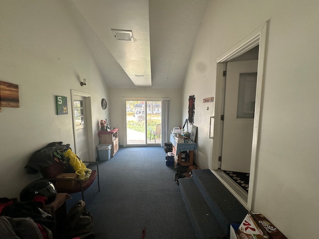 miscellaneous room featuring carpet flooring and lofted ceiling