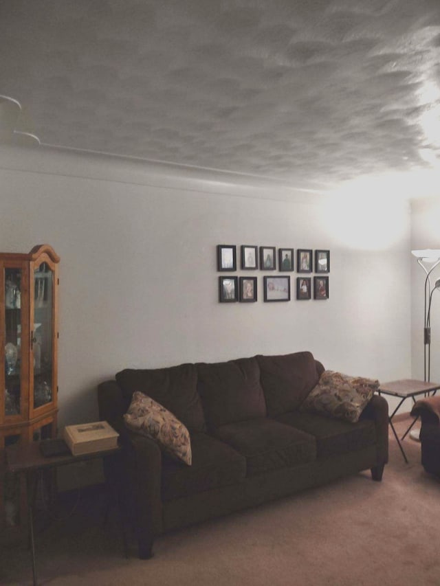 carpeted living room featuring a textured ceiling