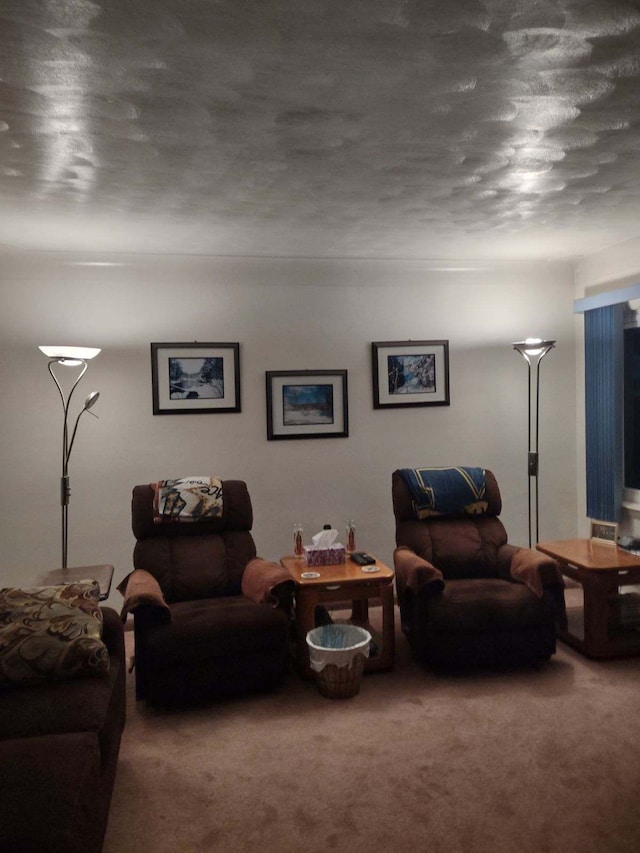 carpeted living room with a textured ceiling