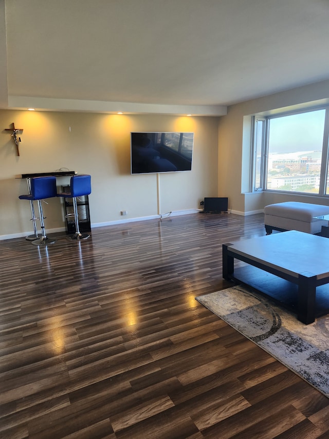 living room featuring dark wood-type flooring