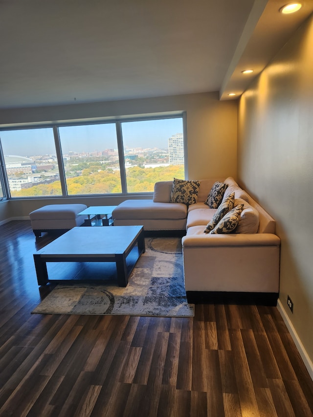 living room with dark wood-type flooring